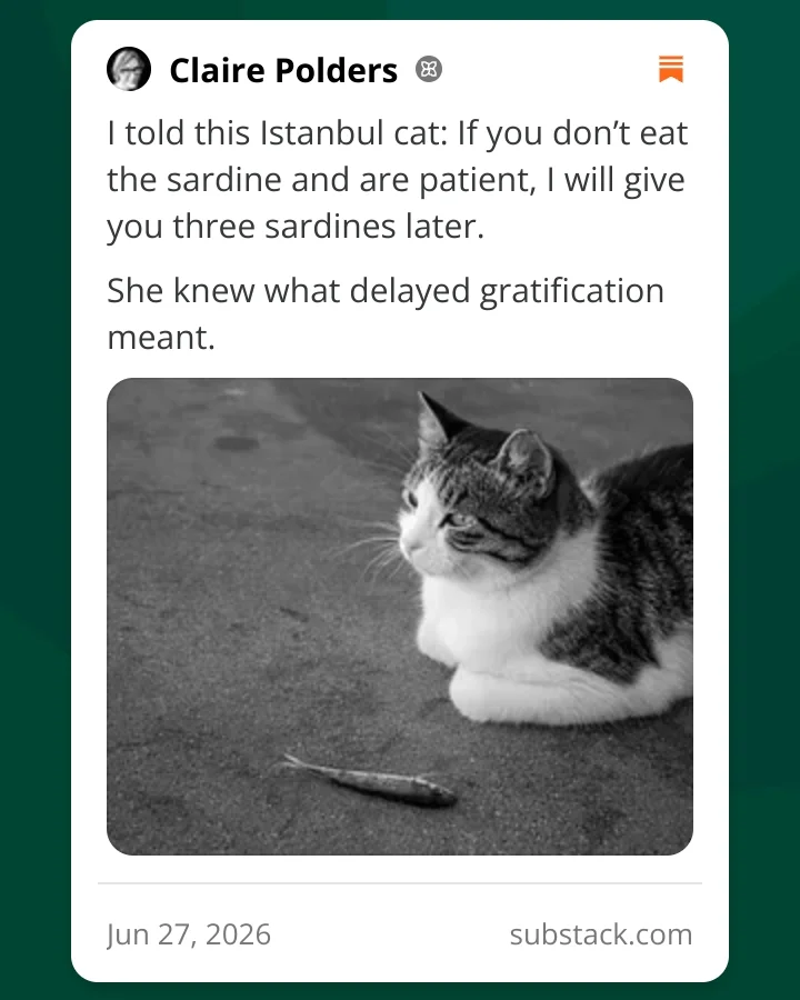 Screenshot of a Substack note by Claire Polders: a tabby cat sitting on a stone surface, staring at a sardine in front of it. Caption: "If you don't eat the sardine and are patient, I will give you three sardines later."